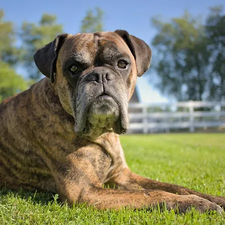 Daire Friesenparadies Fri-suedliches Friesland