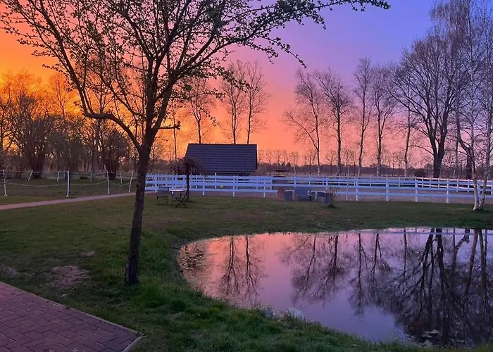 Daire Friesenparadies Fri-suedliches Friesland Bockhorn (Lower-Saxony)